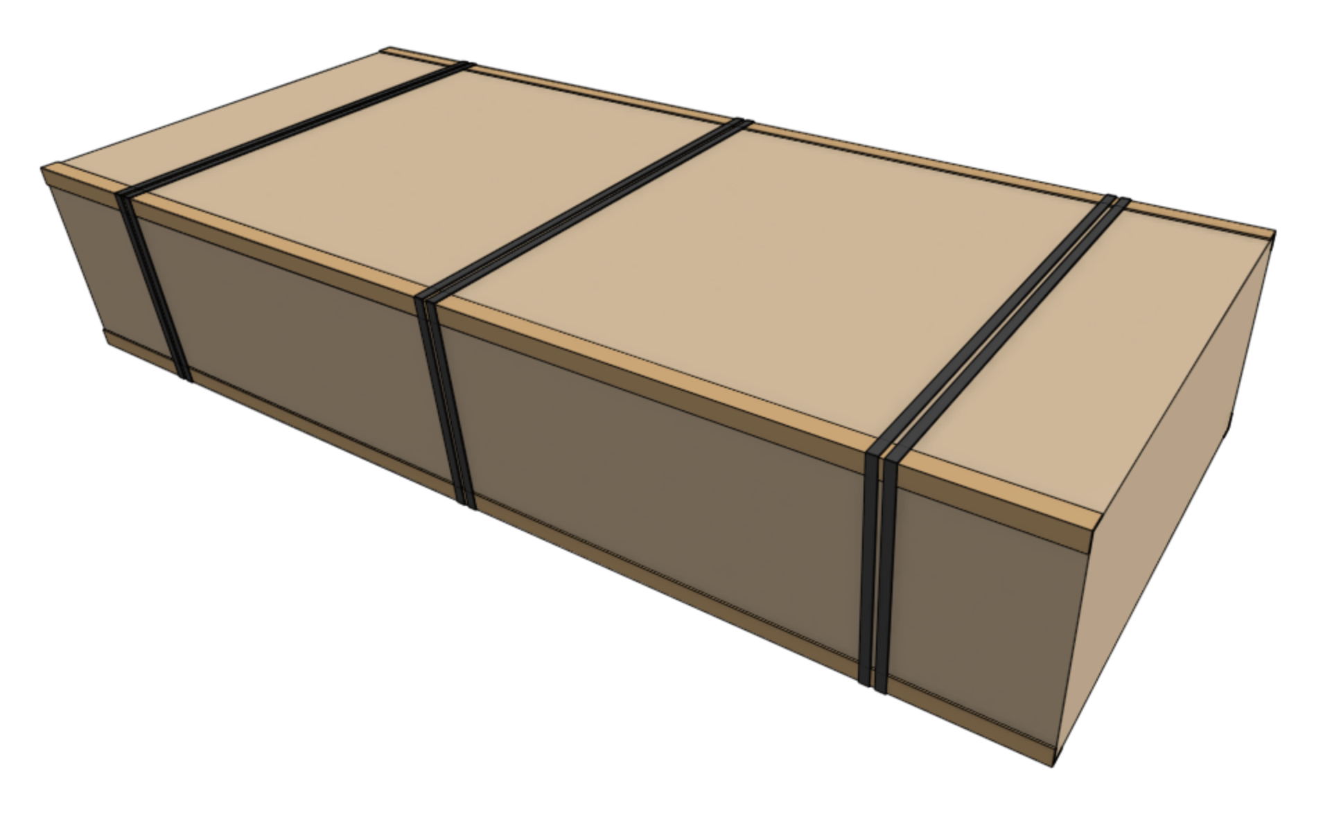 main carton polystrapped